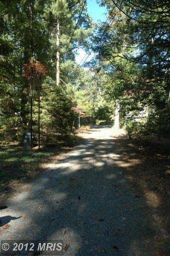 1013 Orchard Way, Silver Spring, MD 20904 - photo 5