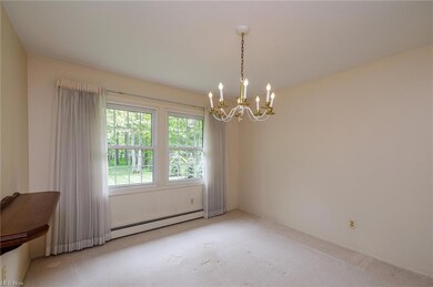 Dining room with hardwood floors under carpet