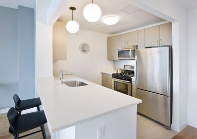 unlisted-address, Rego Park, NY 11374 - photo 3