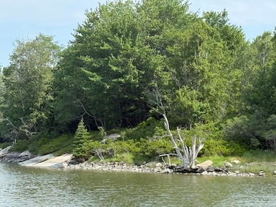 006-60 Round the Island Rd, Vinalhaven, ME 04863 - photo 6