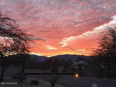 Amazing Sunsets!