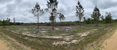 landpic1