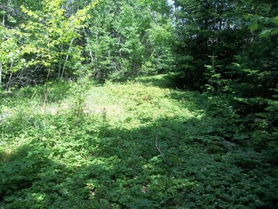 0 Gravel Pit Rd, Robbinston, ME 04671 - photo 6