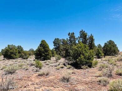 5370 N Windy Walk Way Photo 1