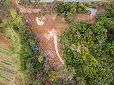 0 Haleakala Hwy unit 399797, Kula, HI 96790 - photo 7