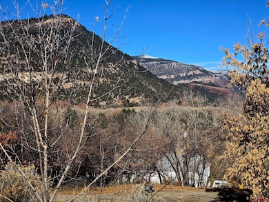 574 County Road 250, Durango, CO 81301 - photo 6