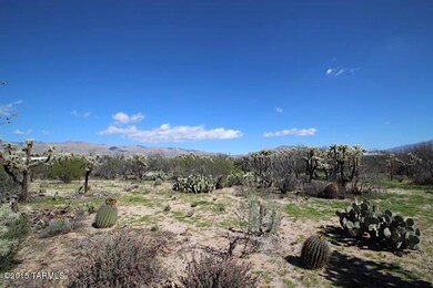 IMG_3365
