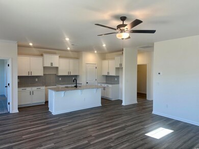 3025 Gadwall Dr unit Lot 51 Courtland II, Aynor, SC 29511 - photo 3