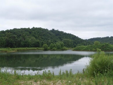 40 Lot 40 Phase 2 Field & Stream, Dixon, MO 65459 - photo 3