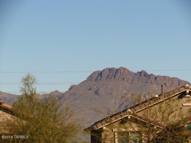 IMG_4849