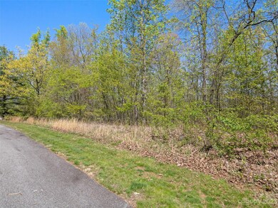 63 Chimney Crest Dr, Asheville, NC 28806 - photo 3