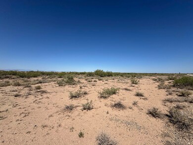 Lot 11 Block 2 Southland Rd unit 11, Alamogordo, NM 88310 - photo 5