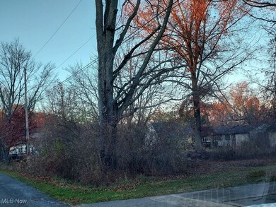 0 Manchester St unit 5172420, Lake Milton, OH 44429 - photo 2