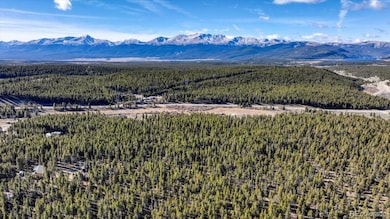 11622 Populist, Leadville, CO 80461 - photo 7