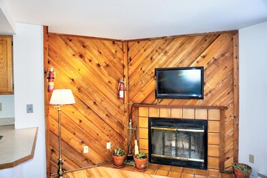 Timberbrook Village Condos unit A208, Brian Head, UT 84719 - photo 3