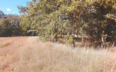 2565 5 Mile Creek Rd, Flatonia, TX 78941 - photo 6