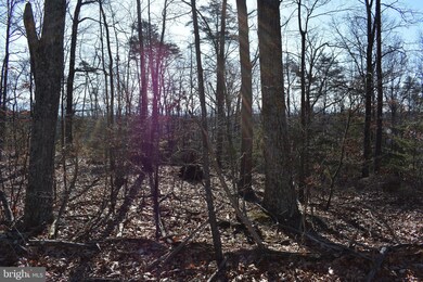 LOT 23 Fable Rd, Hedgesville, WV 25427 - photo 4