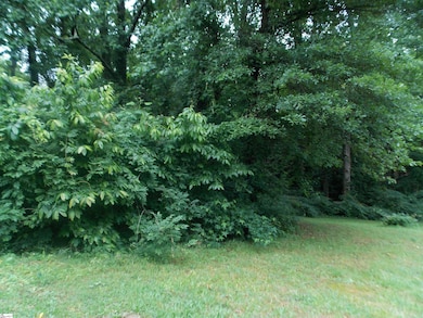 311AA Shirley Rd, Piedmont, SC 29673 - photo 5