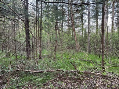 3549 Knowlton Rd, Roaming Shores, OH 44084 - photo 5