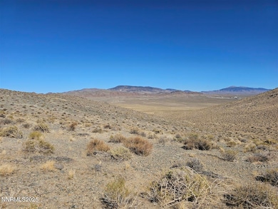 12.92ac Patented Mining Claim, Yerington, NV 89447 - photo 5