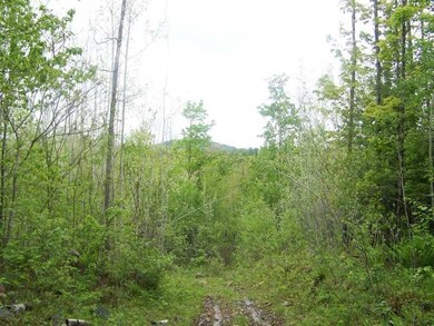 Lot 1A Spring Rd, Newfield, ME 04056 - photo 2