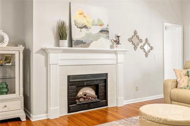 110 Banks Ridge Rd, Fort Mill, SC 29715 - photo 7