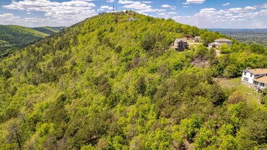 000 Mt Riante Rd, Hot Springs, AR 71913 - photo 5