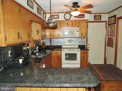 4371 Little Mastens Corner Rd, Felton, DE 19943 - photo 4