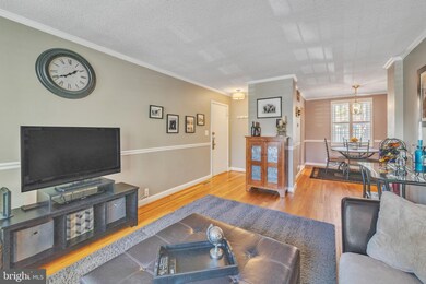 4212 36th St S unit A2, Arlington, VA 22206 - photo 4