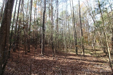 5+/-AC Bookout Rd, Rock Hill, SC 29730 - photo 4