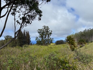 0 Palikekua St unit 722634, Honokaa, HI 96727 - photo 2