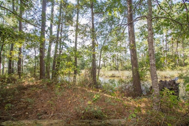 77 Wheat Patch Rd, Bath, NC 27810 - photo 3