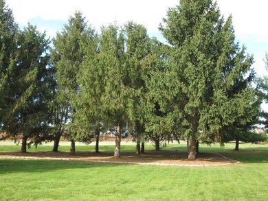 Front Pines