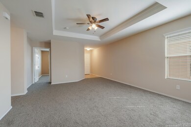 3838 Bent Grass, San Antonio, TX 78261 - photo 3