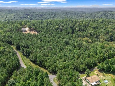 00 Creekside Cir, Rutherfordton, NC 28139 - photo 6