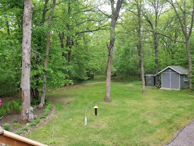 Back yard