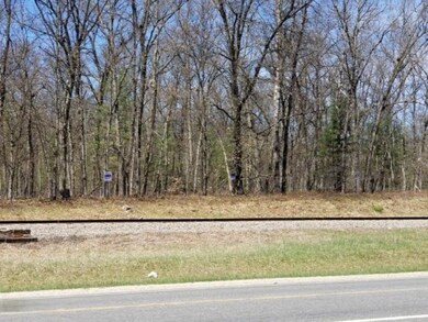 VL M-37 (Woodbridge), Bitely, MI 49309 - photo 6