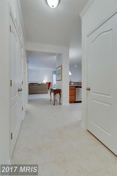 24660 Woolly Mammoth Terrace unit 207, Aldie, VA 20105 - photo 6