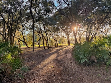 11064 NE 212th Ln, Fort McCoy, FL 32134 - photo 3