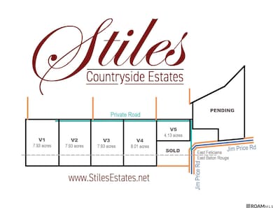 V5 Jim Price Rd, Clinton, LA 70722 - photo 2