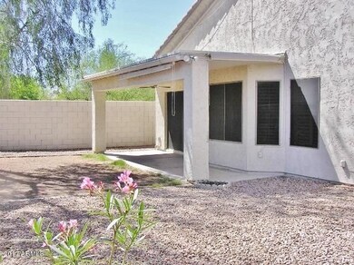 SOUTH FACING PATIO & YARD