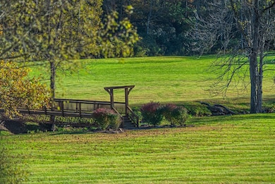 2887 Tessentee Rd, Franklin, NC 28734 - photo 6