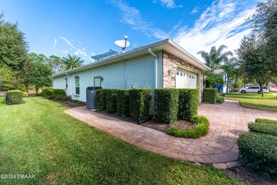 33ChrysanthemumDrOrmondBeach-23
