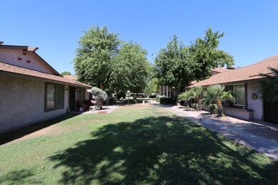IMG_4401