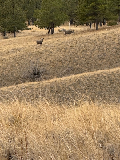 8550 Eagle View Rd, Helena, MT 59602 - photo 5