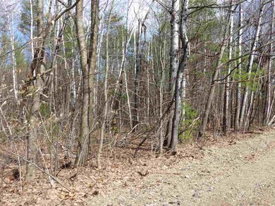 215-10.2 Red Hill Farm, Center Harbor, NH 03226 - photo 4