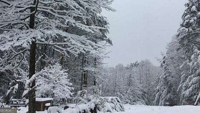 0 S Maple Dr unit 10653282, Jasper, GA 30143 - photo 4