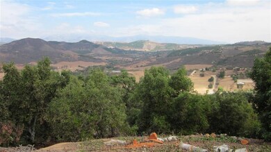 11200 Berry Rd, Valley Center, CA 92082 - photo 4