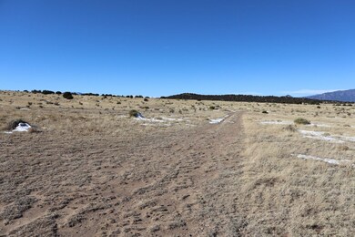 0 Rio Cucharas unit 44, Walsenburg, CO 81089 - photo 4