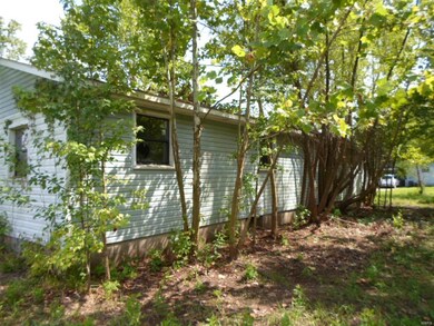 1061 Highway T, Poplar Bluff, MO 63901 - photo 4